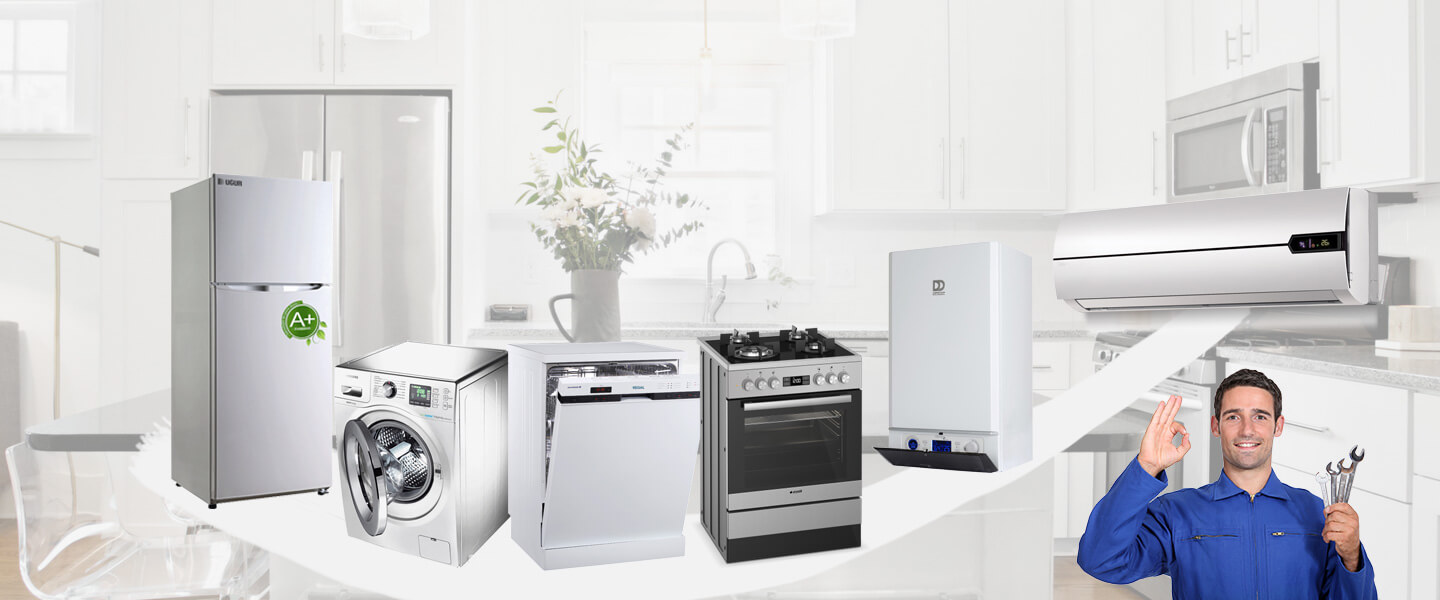 Cide Dominox Servisi